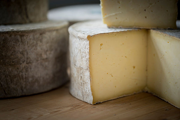 Which cheese is most popular according to four UK cheesemongers