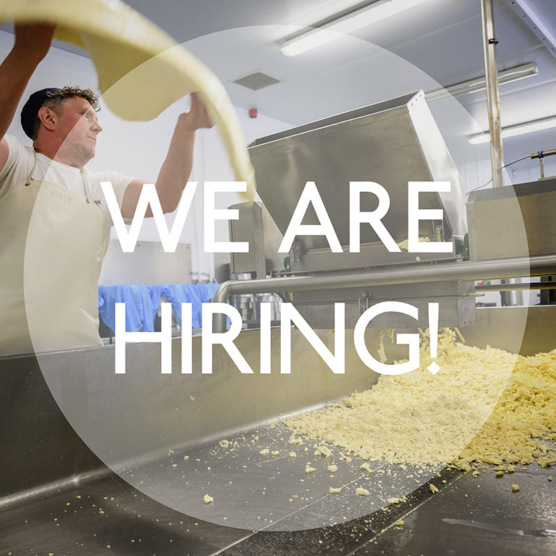 Work with us - join our team